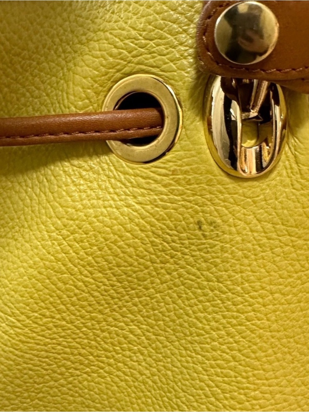 Valentina Italia Yellow Leather Drawstring Shoulder Bag with Brown Trim - Picture 7 of 13
